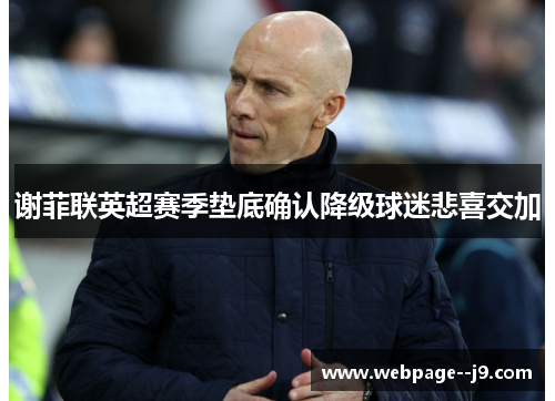 谢菲联英超赛季垫底确认降级球迷悲喜交加